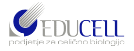 EDUCELL